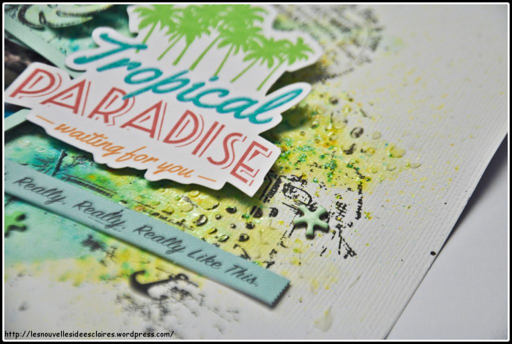 tropical-paradise-06