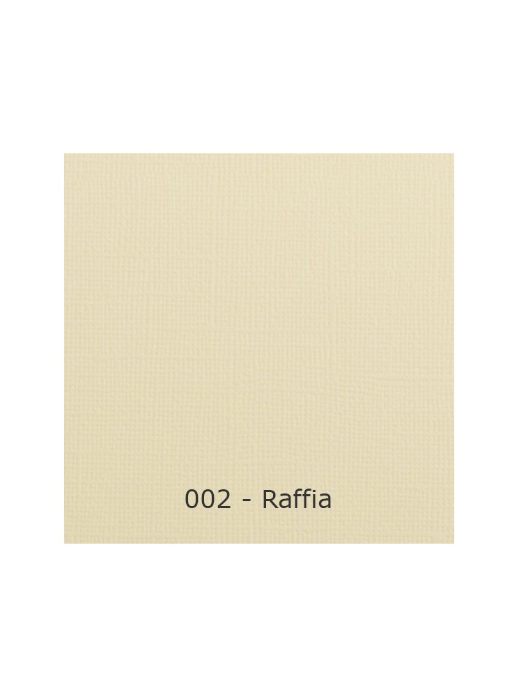 Florence Cardstock Papier cartonné uni texturé 30,5 x 30,5 cm - Vaessen Creative