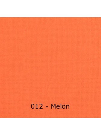 Florence Cardstock Papier cartonné uni texturé 30,5 x 30,5 cm - Vaessen Creative