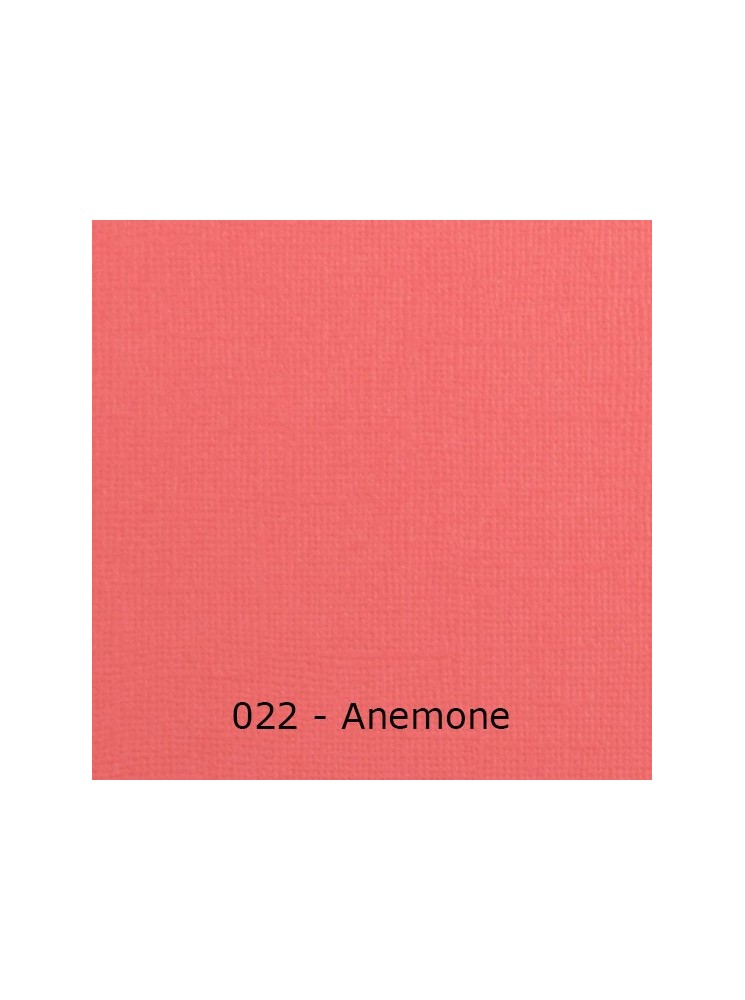 Florence Cardstock Papier cartonné uni texturé 30,5 x 30,5 cm - Vaessen Creative