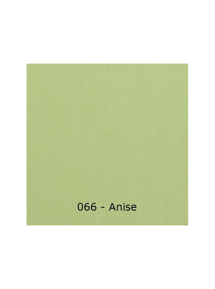 Florence Cardstock Papier cartonné uni texturé 30,5 x 30,5 cm - Vaessen Creative