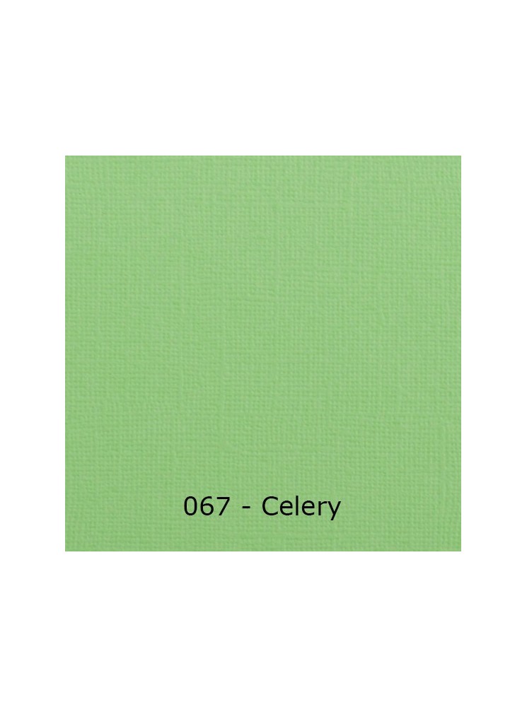 Florence Cardstock Papier cartonné uni texturé 30,5 x 30,5 cm - Vaessen Creative