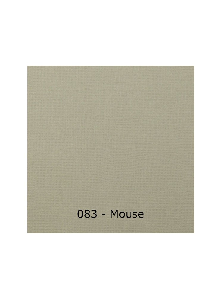 Florence Cardstock Papier cartonné uni texturé 30,5 x 30,5 cm - Vaessen Creative