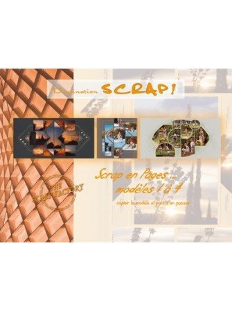 Livre Destination Scrap -...