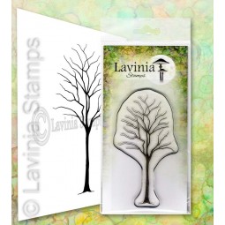 Birch - Tampon clear - Lavinia