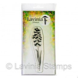 English Bluebell - tampon...