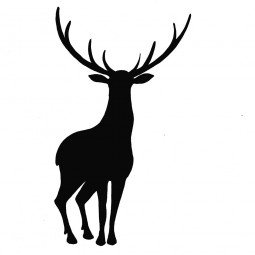 Stag - tampon clear - Lavinia