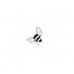 Bee Mini - Tampon clear -...