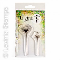 Open Dandelion - tampon clear - Lavinia