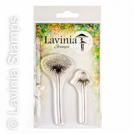 Open Dandelion - tampon clear - Lavinia