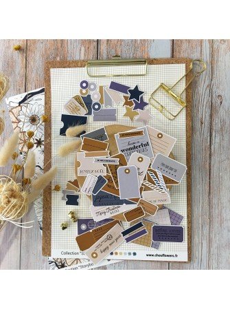 Die cuts Etiquettes - Collection "Storybook" - Chou & Flowers