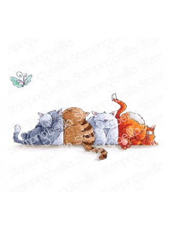 Squichy Cats - collection "Bella's" - Tampon cling - Stampingbella