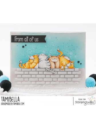 Squichy Cats - collection "Bella's" - Tampon cling - Stampingbella