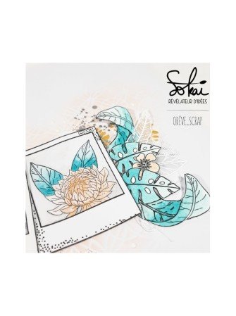 Les polas - collection "So' Celebrate" - dies - Sokaï