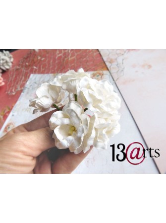 Fleurs de Magnolia en papier - 13 @rts