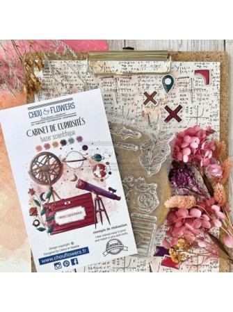 Tampon clear - Bazar scientifique - Collection "Cabinet de curiosités" - Chou & Flowers