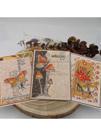 Tampon cling - Les violettes - Collection "Cabinet de curiosités" - Chou & Flowers
