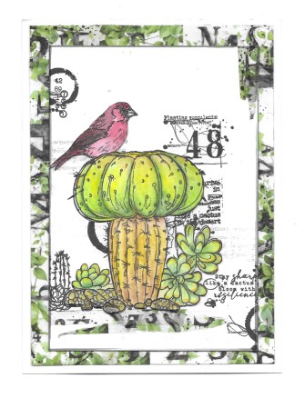Washi Tape N°71 - Leafy Alphas - Collection "Desert Oasis Delights" - Aall & Create
