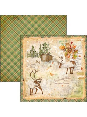 Pack papiers 20 x 20 cm - Collection "Into the wild"- Ciao Bella