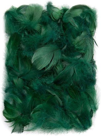 Plumes - Vert - Darice