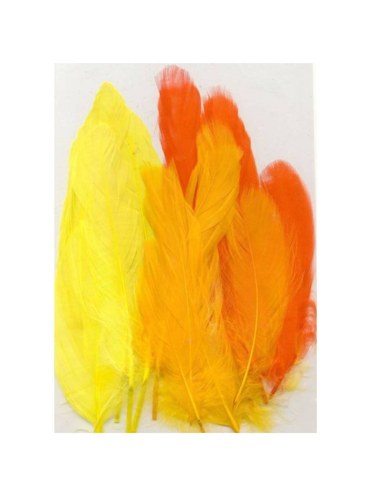 Grandes plumes d'oie - assortiment jaune orange - Hobby