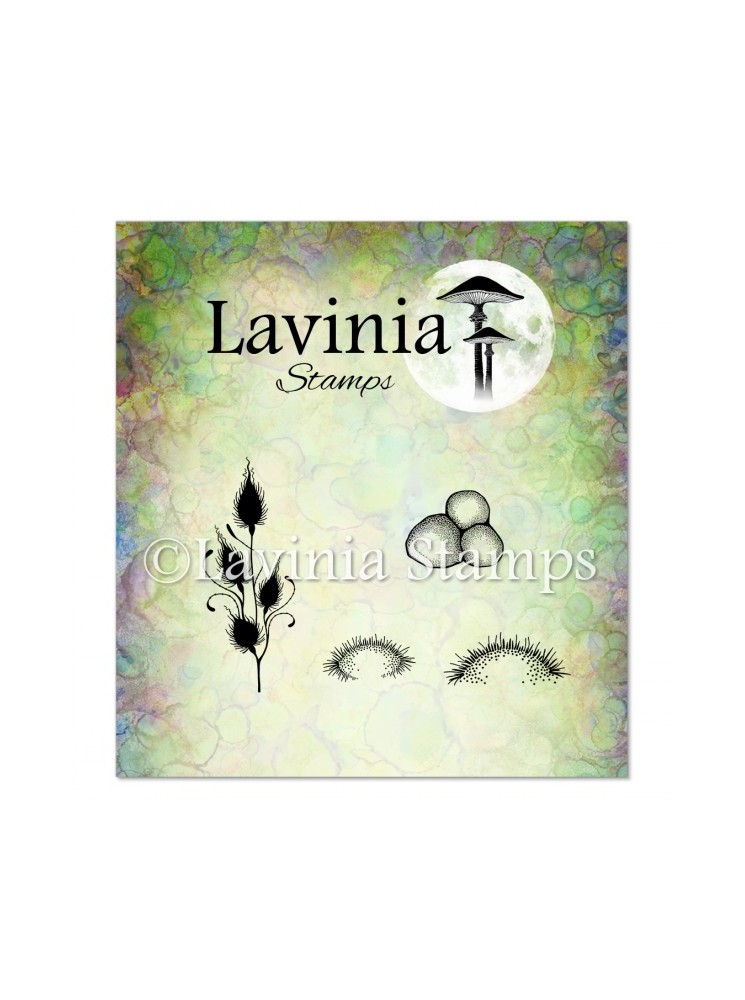 Forest Moss - Tampon clear -  Lavinia