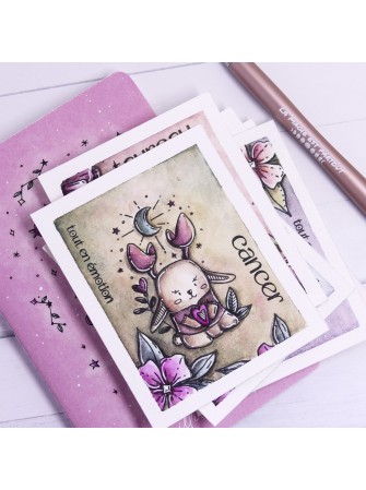 Tampon Clear - Doudou Cancer - Collection hors série Doudouland "les Astros" - Chou & Flowers