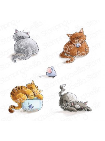 Set of Kitties - collection...