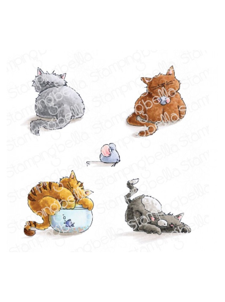 Set of Kitties - collection "Bella's" - Tampon cling - Stampingbella