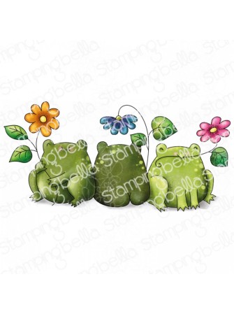 Frogs & Flowers -...