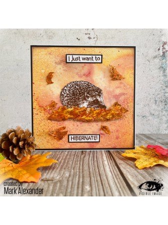 Hedgehog Hugs - Tampon clear - Collection "Autumn" - Visible Image