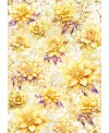 Collection "Ethereal" - Ciao Bella