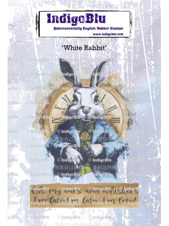 White rabbit - Tampon cling...