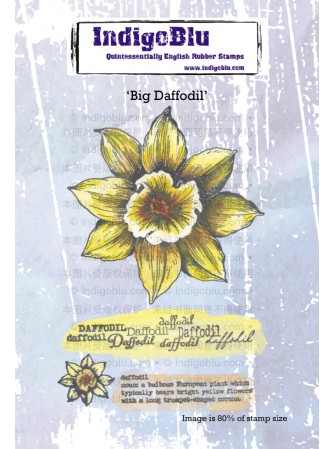 Big daffodil - Tampon cling...