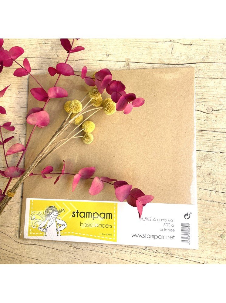 Pack de 5 cartons Kraft 600 gr - Stampam