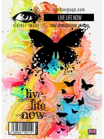 Combo Stencil et tampon - Butterfly - Visible Image