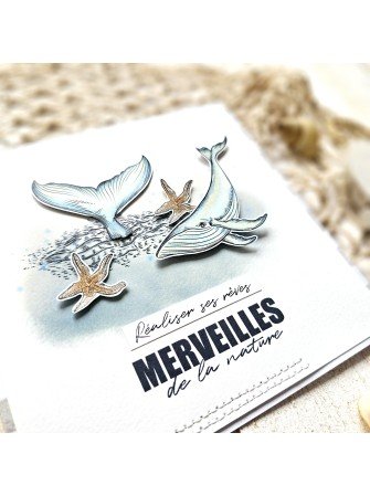 Poésie marine - Tampon clear - collection "Entre terre et mer" - Lorelaï Design