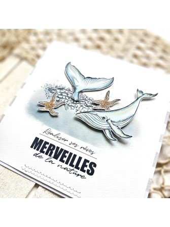 Merveilles de la nature - Tampon clear - collection "Entre terre et mer" - Lorelaï Design