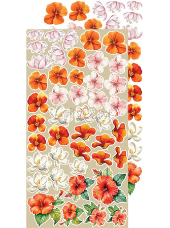 Pack de décors à découper - Mix  - Collection  "Kitchen Mode"