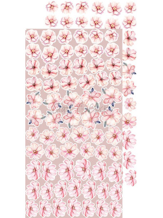 Pack de décors à découper - Flowers & My First Year- Collection  "Girl & Curl"  - Craft O'Clock