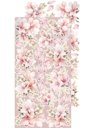 Pack de décors à découper - Flowers & My First Year- Collection  "Girl & Curl"  - Craft O'Clock