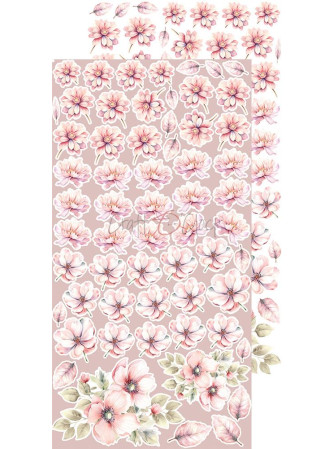 Pack de décors à découper - Flowers & My First Year- Collection  "Girl & Curl"  - Craft O'Clock