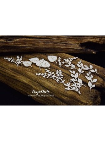 Planche de feuilles -...