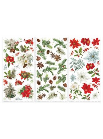 Rub'ons - Botanical - Collection "Evergreen Season" - 49 and Marked