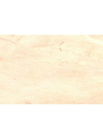 Papier Lokta - Rose Chair -...