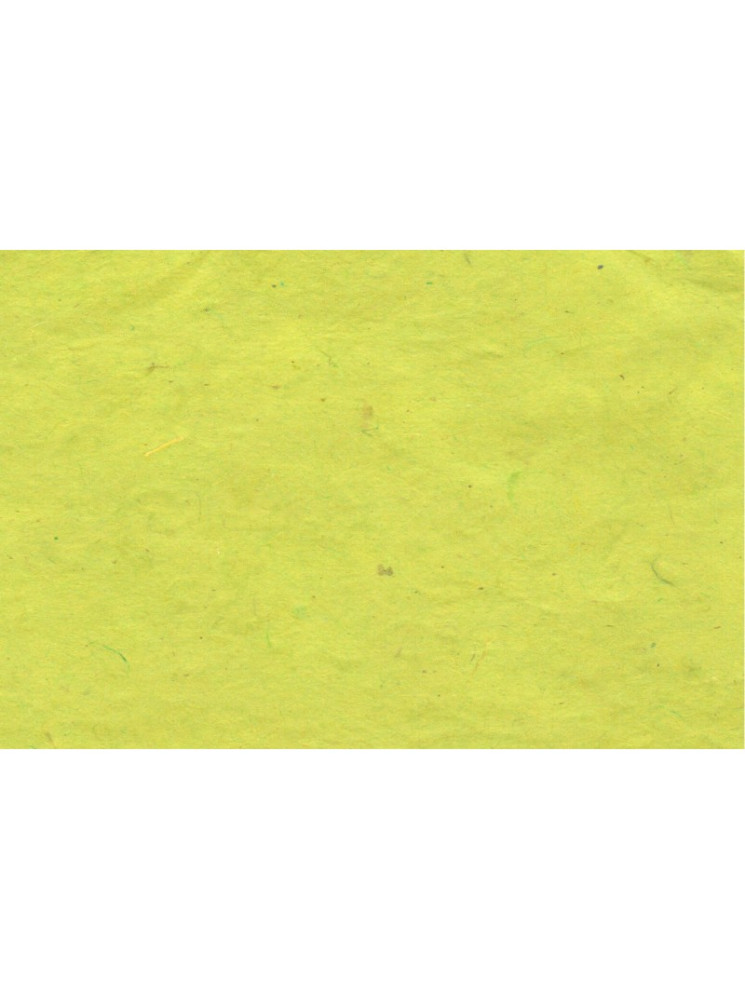 Papier Lokta - Vert Clair - Esprit Papier