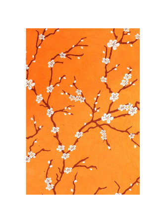 Papier Lokta Imprimés - Orange  - La Collection Népalaise - Artemio