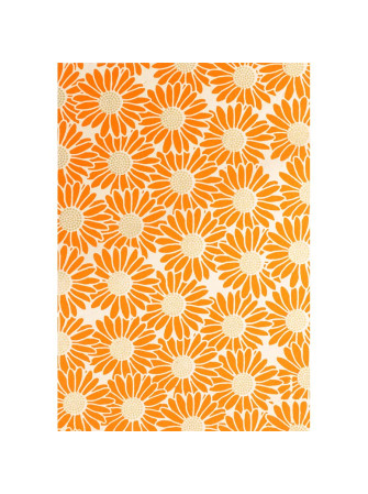 Papier Lokta Imprimés - Orange  - La Collection Népalaise - Artemio
