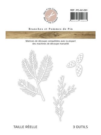 Branches et Pommes de Pin -...