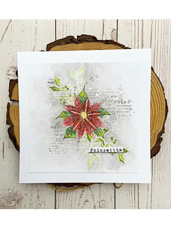 Poinsettia - Tampon clear - Tracy Evans